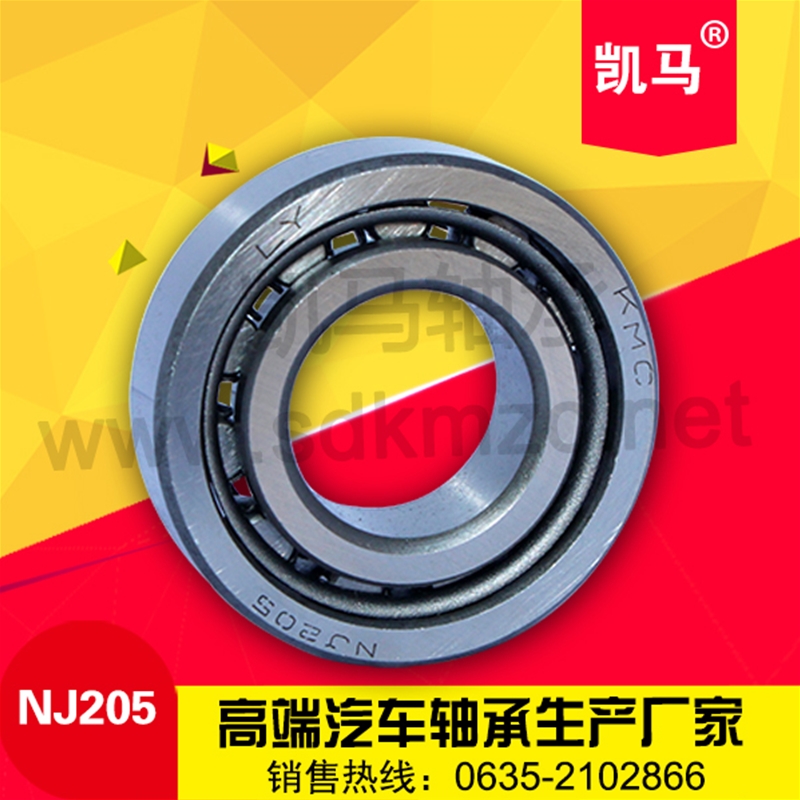 圆柱滚子轴承NJ205